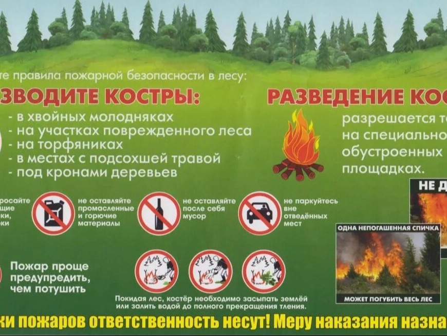 Соблюдайте правила безопасности в лесу..